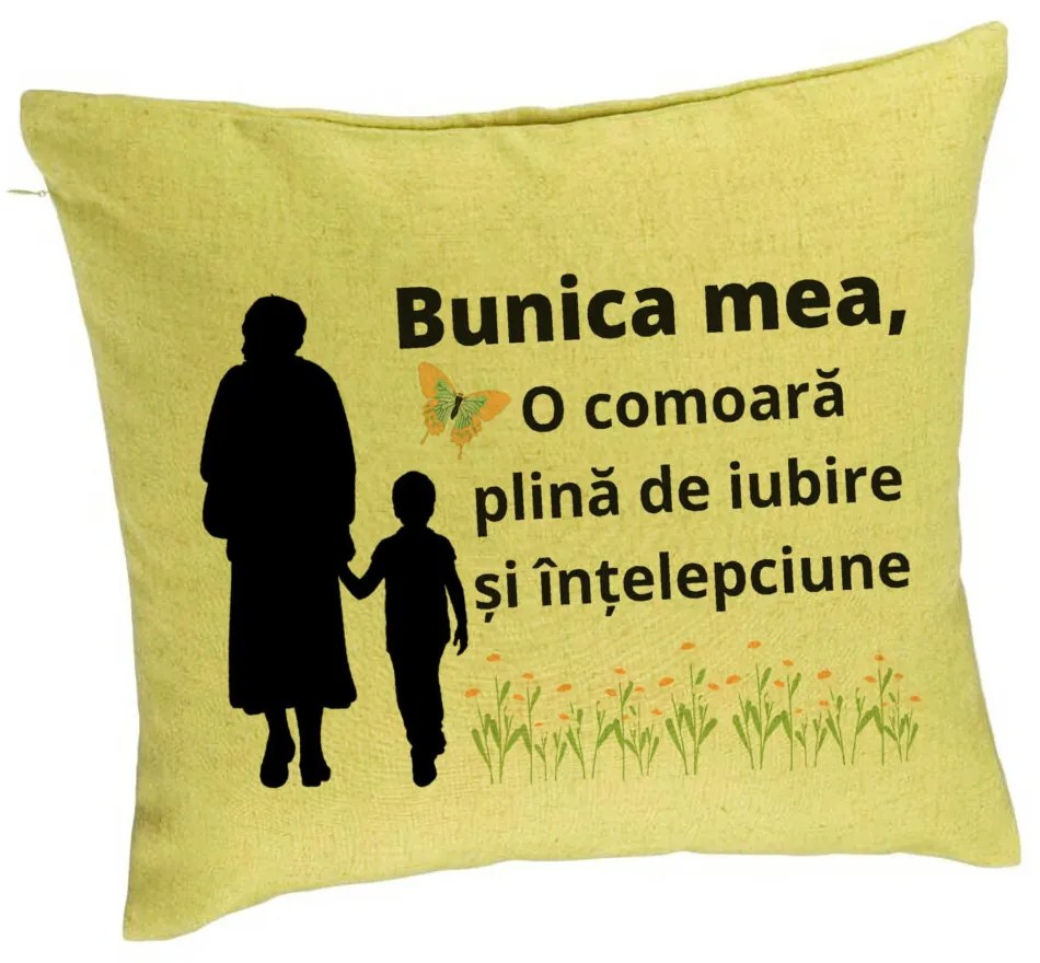 Perna Decorativa pentru Bunicul 19, 40x40 cm, Verde, Husa Detasabila, Burduf