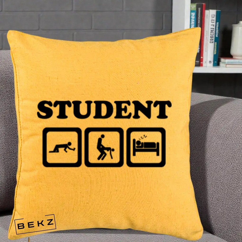 Perna Decorativa Student Life, 40x40 cm, Galben, Husa Detasabila, Perna Inclusa, BEKZ®
