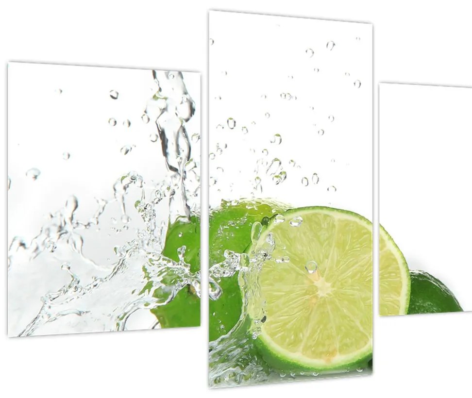 Tablou - Lămâi suculente (90x60 cm)