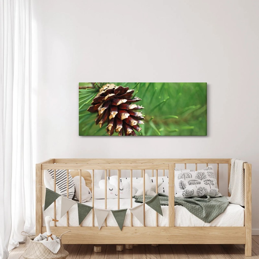 Tablou cu con (120x50 cm)