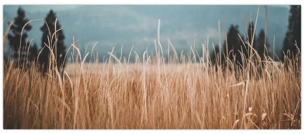Tablou - detaliu spațiului de luncă (120x50 cm)