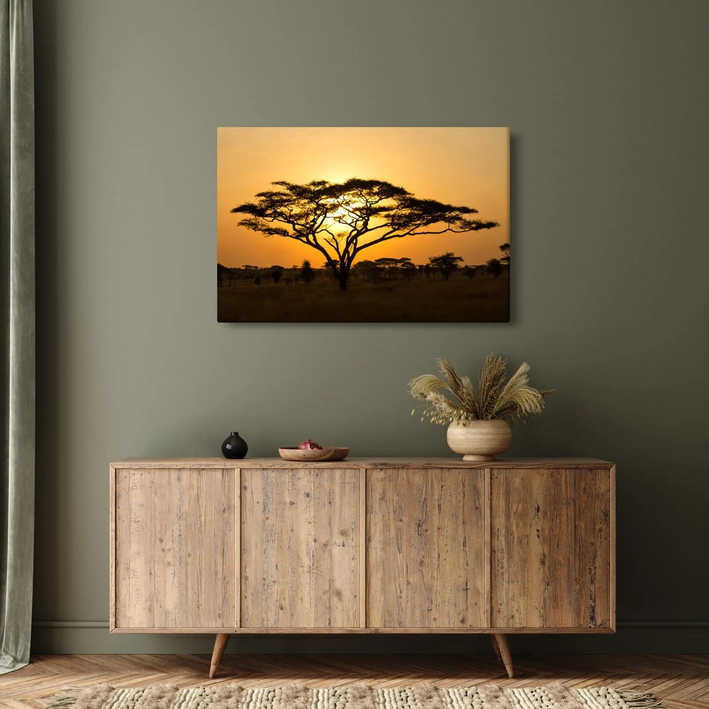 Tablou - Savana africană (90x60 cm)