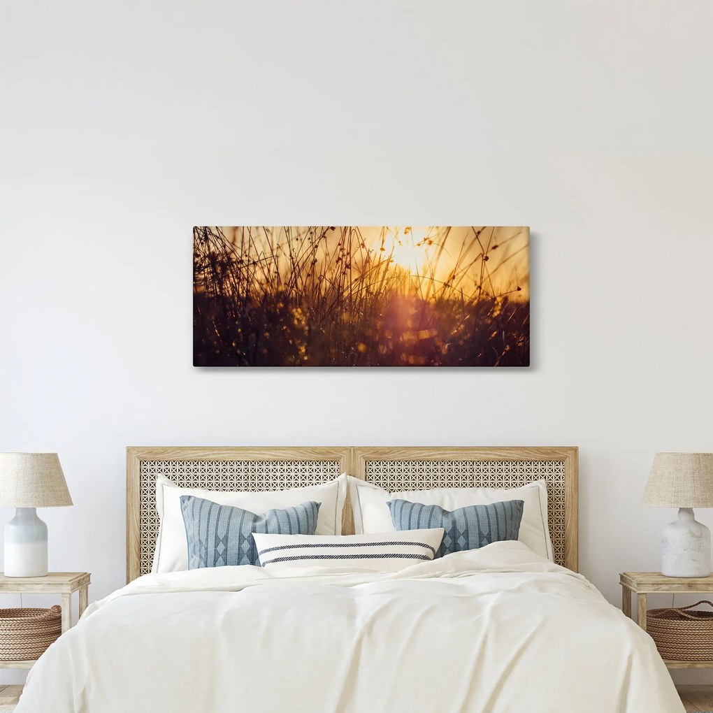 Tablou - Câmp la apus de soare (120x50 cm)
