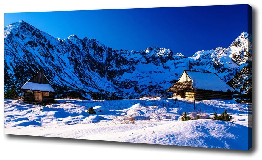 Tablou canvas Case în munții tatra