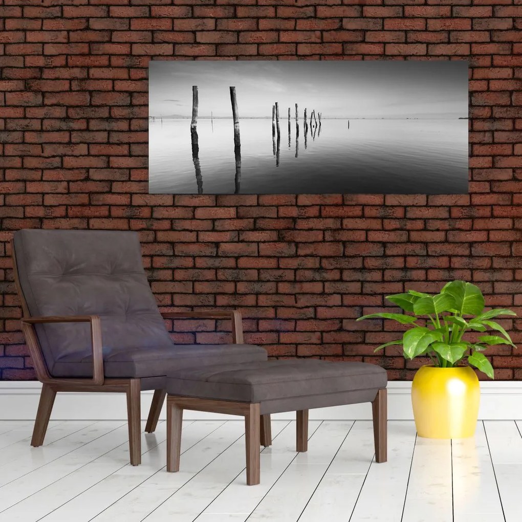 Tablou cu nivelul de lac alb negru (120x50 cm)