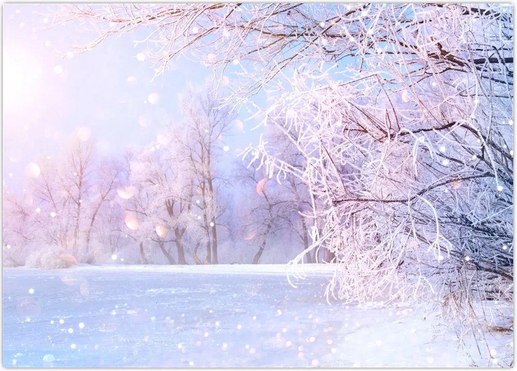 Tablou - Iarna geroasă (70x50 cm)