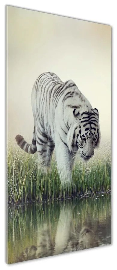 Tablou sticlă acrilică Tigru alb