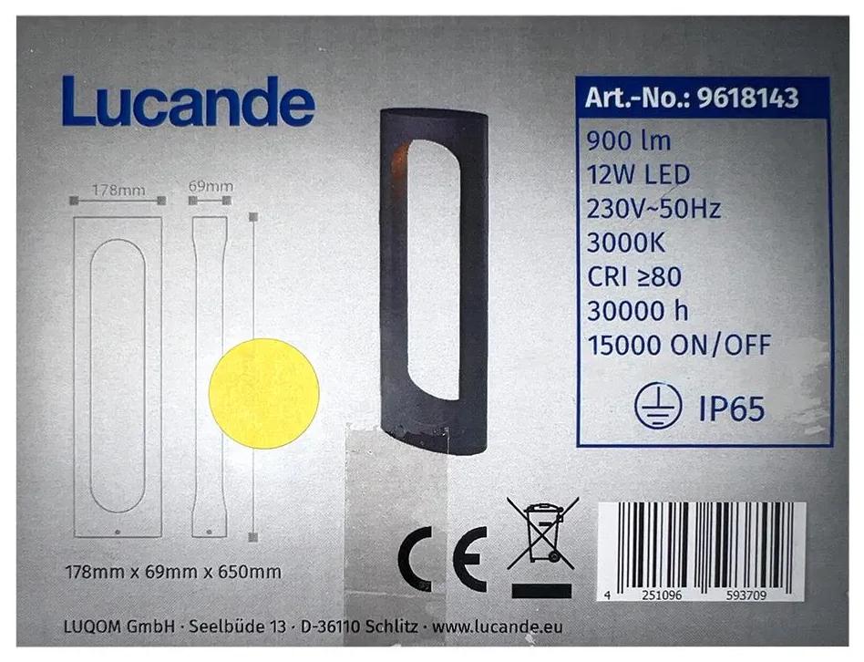 Lampă LED de exterior FENTI LED/12W/230V IP65 Lucande
