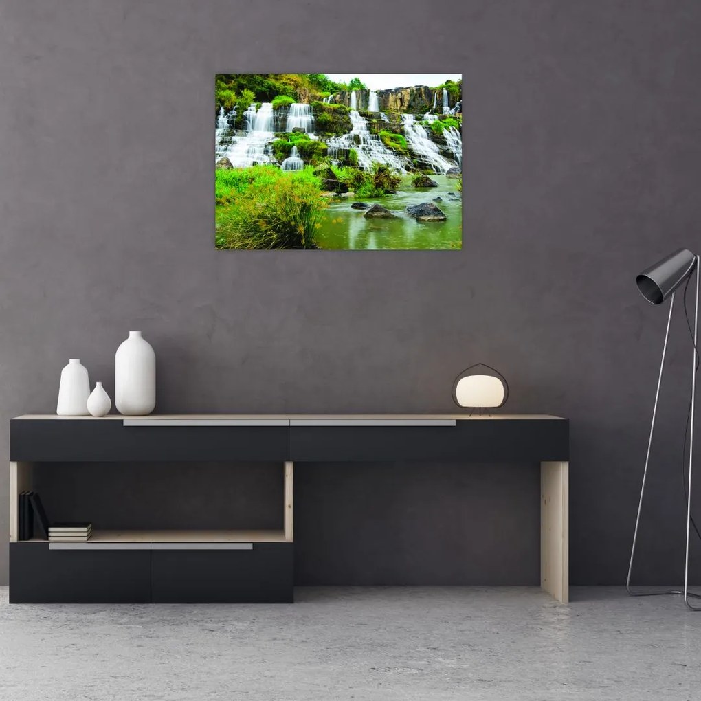 Tablou - cascade cu plante (70x50 cm)