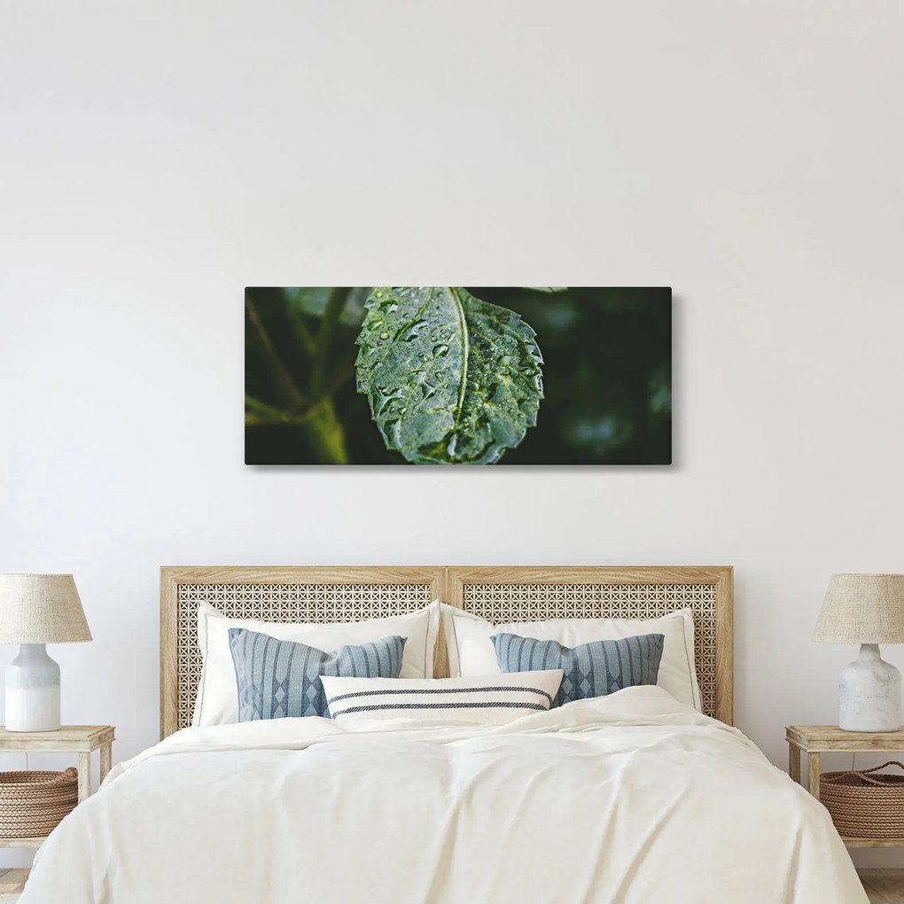 Tablou - picături pe frunză (120x50 cm)