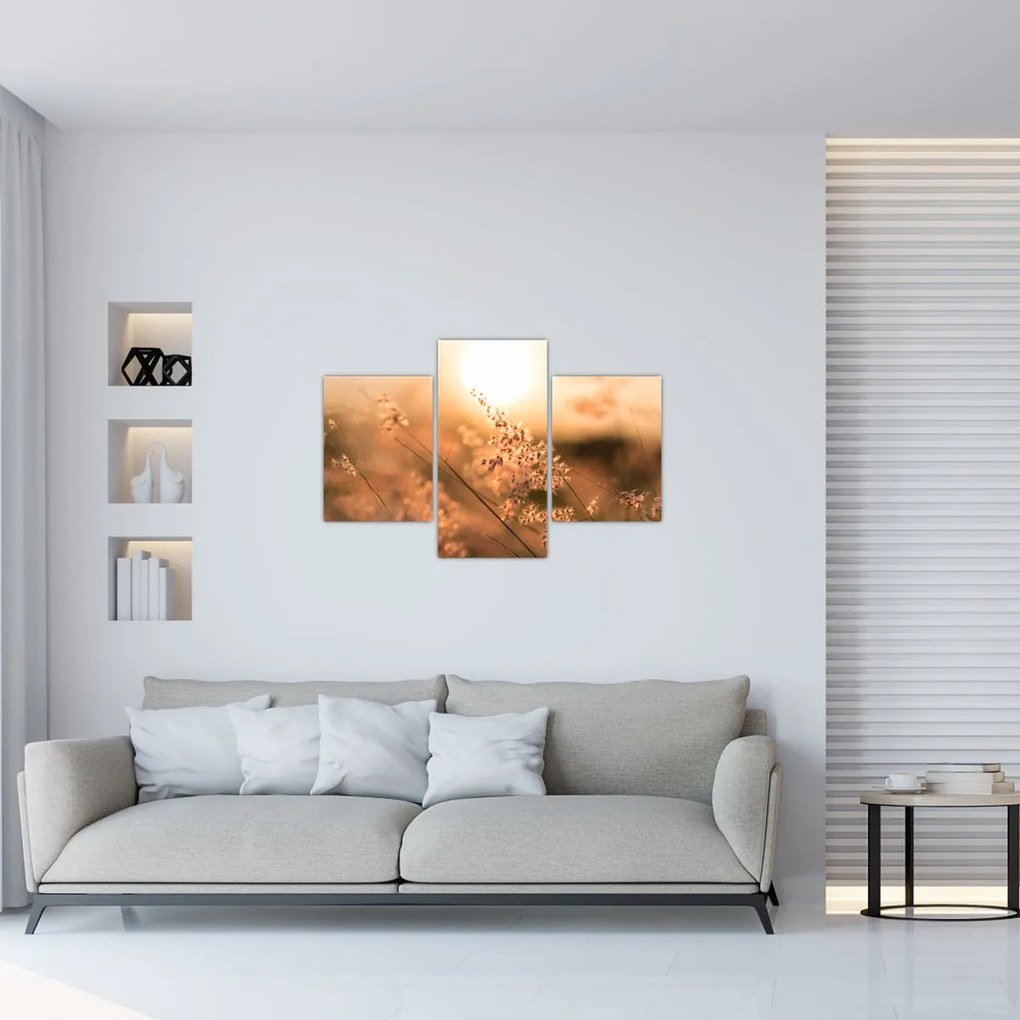 Tablou - Iarbă la soare (90x60 cm)