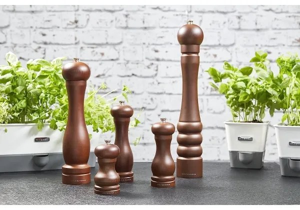 Cole&Mason - Râșniță sare CAPSTAN FOREST fag 12 cm