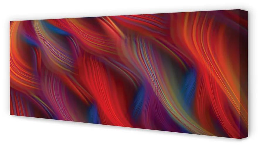Tablouri canvas dungi colorate fractali