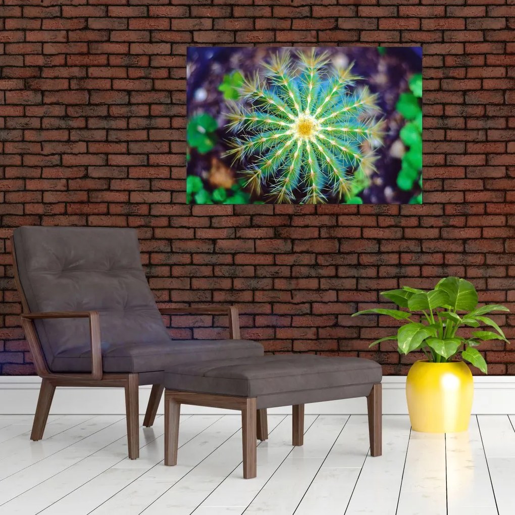 Tablou cu cactus (90x60 cm)