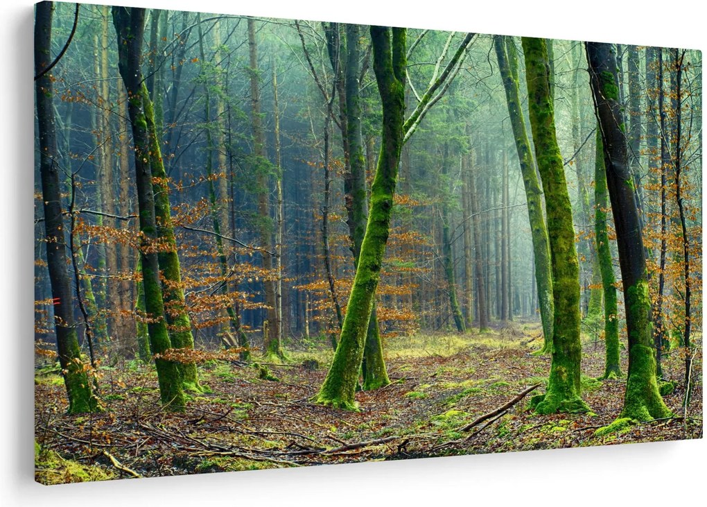 Tablou cu pădure (90x60 cm)