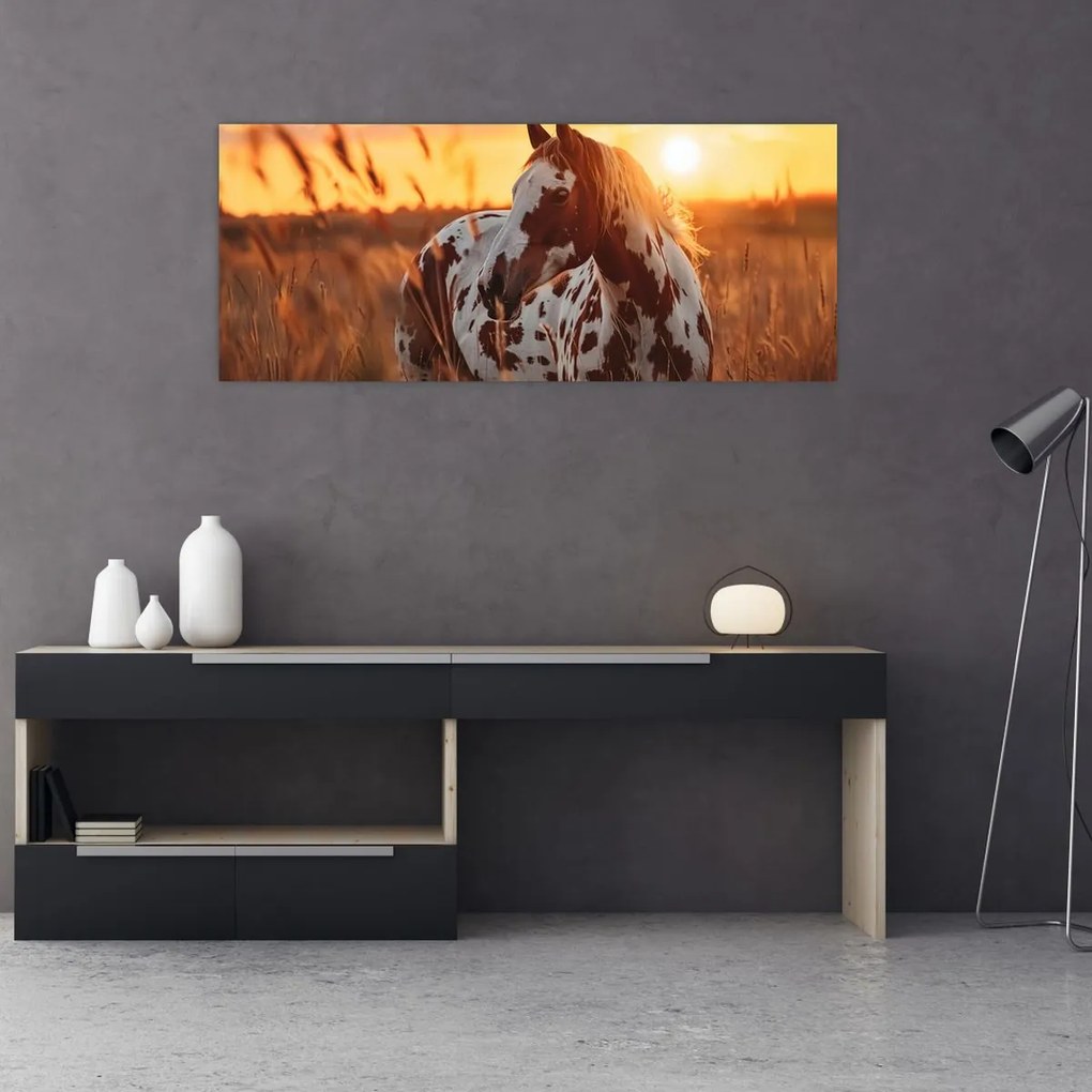 Tablou - Cal la Apus (120x50 cm)