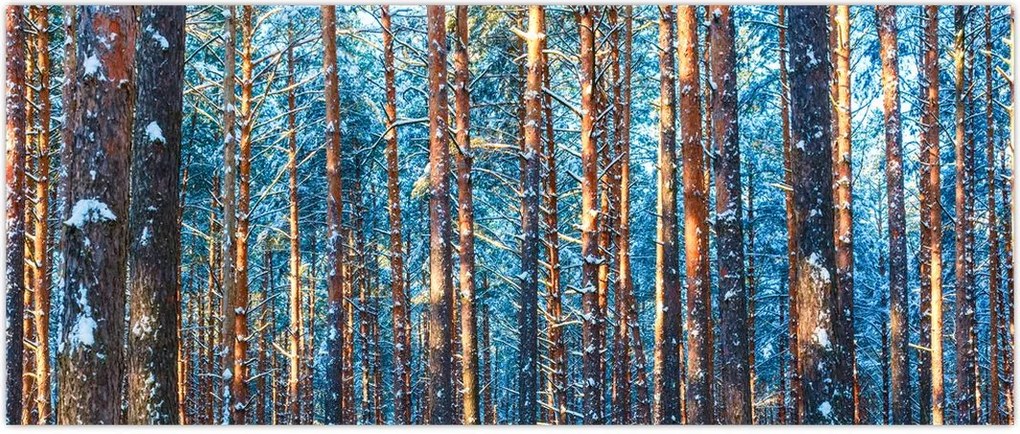 Tablou - Pădurea iarna (120x50 cm)