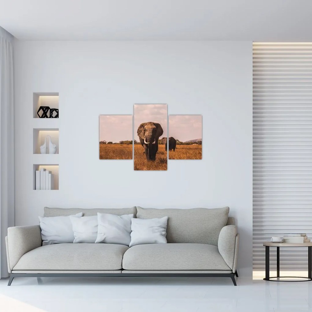 Tablou - Venirea elefantului (90x60 cm)