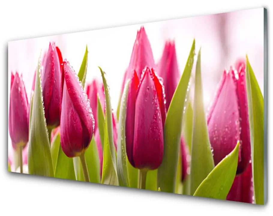Tablou pe sticla Lalele Floral Red