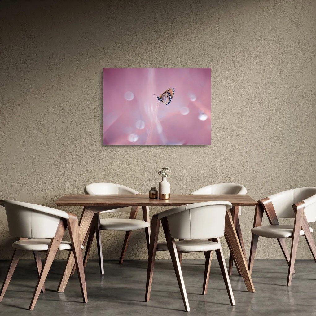 Tablou pe sticlă - Fluturele (70x50 cm)