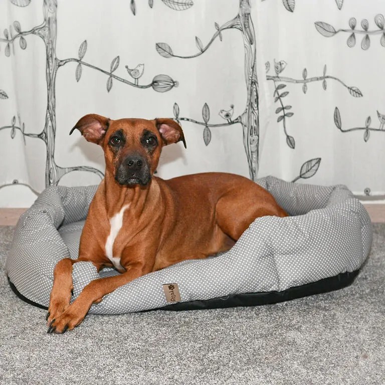 Culcuş pentru câine PUNCTE mărime XL - 90 x 70 cm