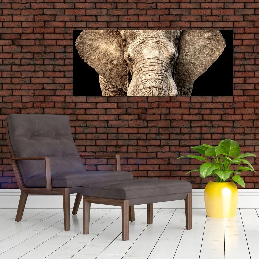 Tablou - Elefant african (120x50 cm)