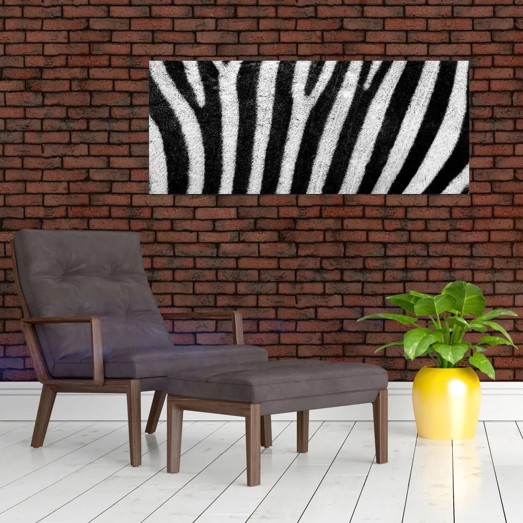 Tablou cu piele de zebră (120x50 cm)