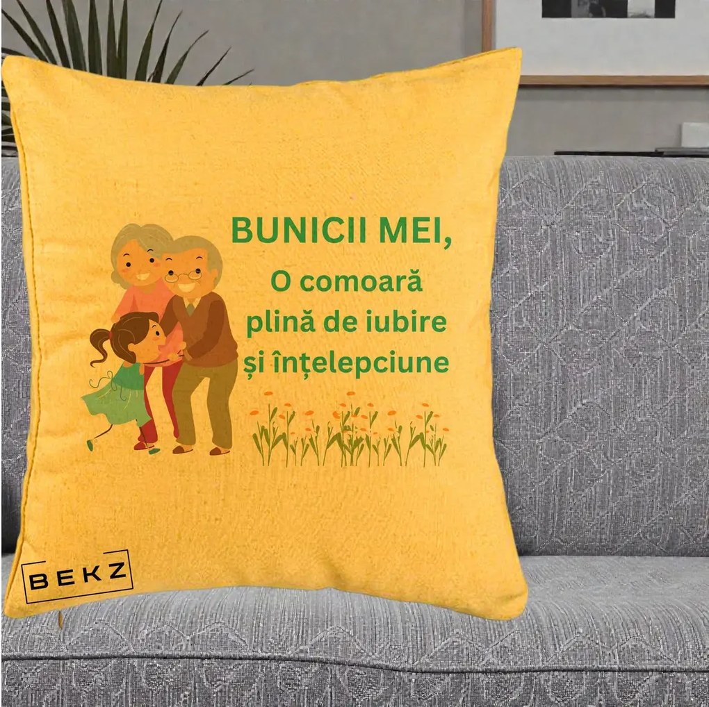 Cadou pentru Bunici - Perna Personalizata Bunicii Mei Comoara Iubire Intelepciune Nepoata, 40x40 cm, Galben, Husa Detasabila, Perna Inclusa, BEKZ®