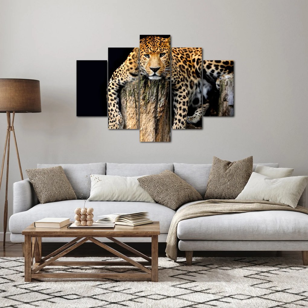 Tablou - Ghepard (150x105 cm)
