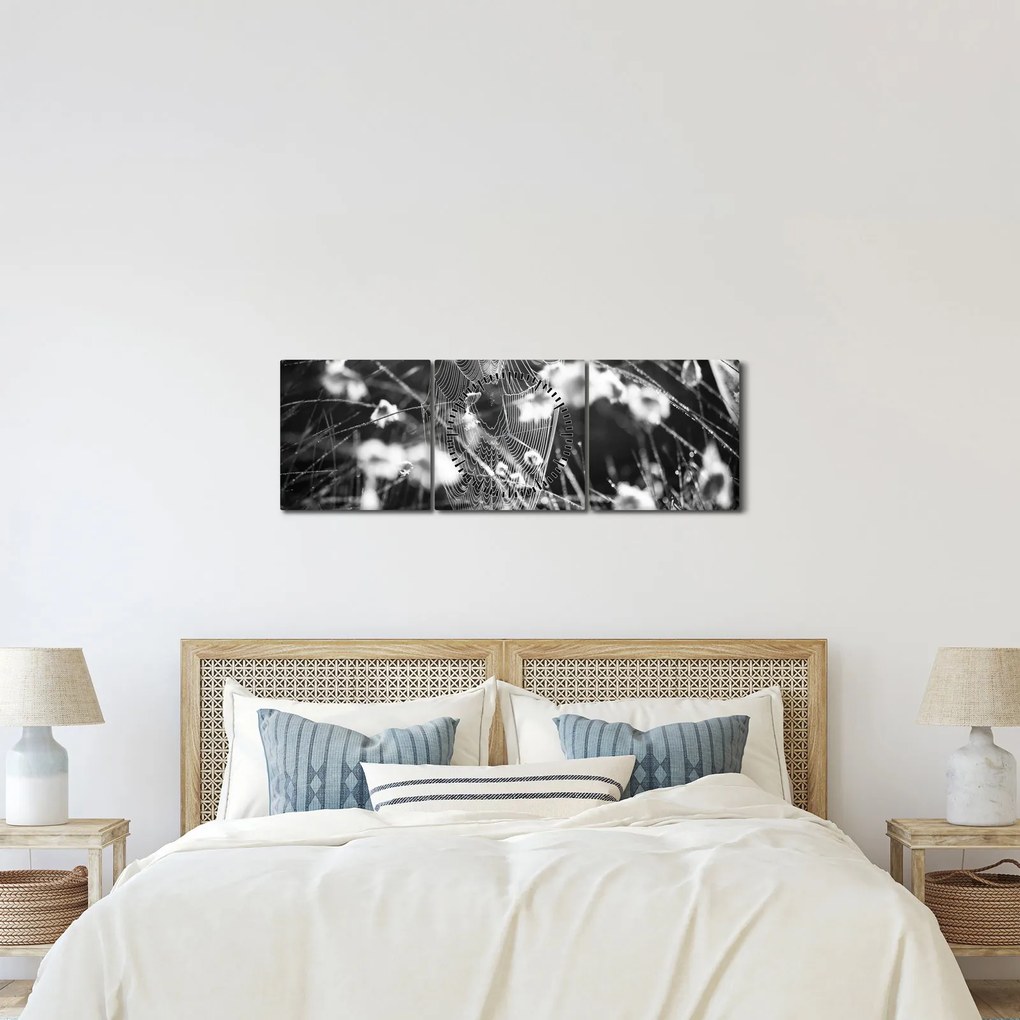 Tablou - Pânza de păianjen în pajiște (cu ceas) (90x30 cm)