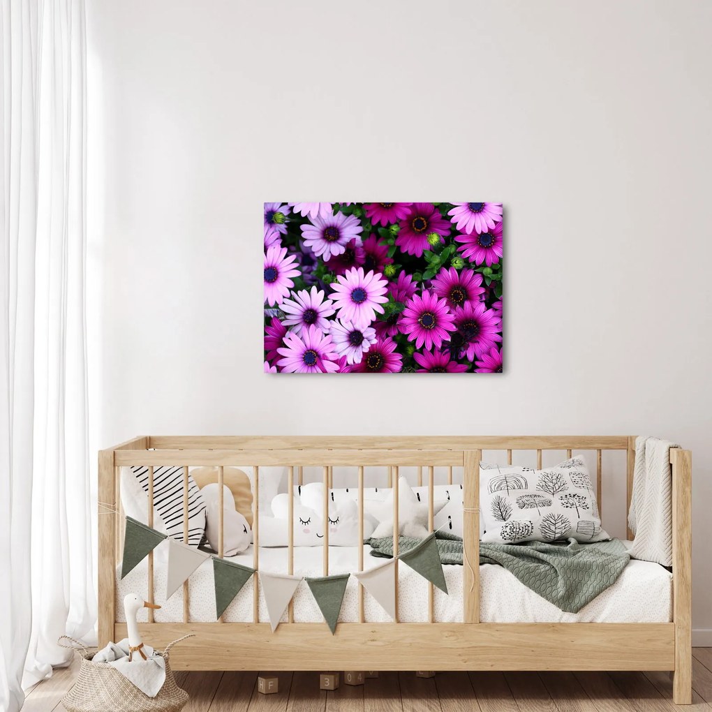 Tablou - Flori (70x50 cm)
