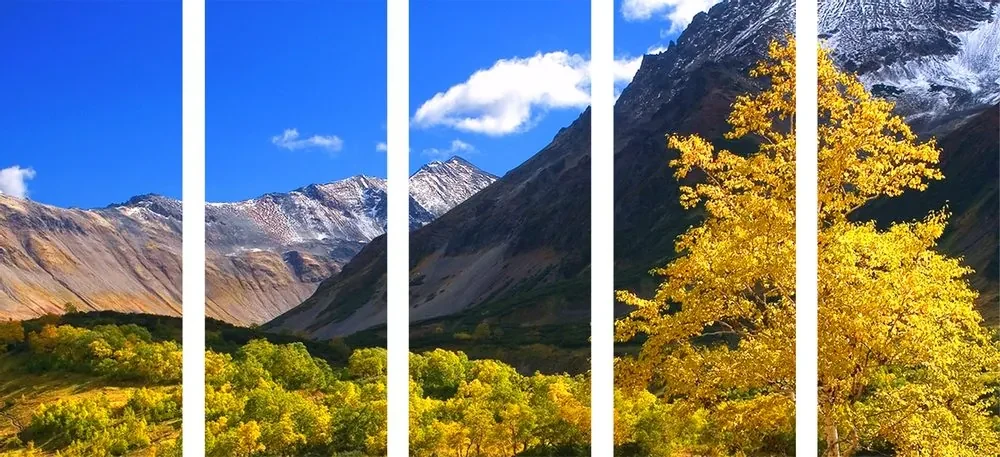 Tablou 5-piese natura frumoasă pe Kamchatka în Rusia