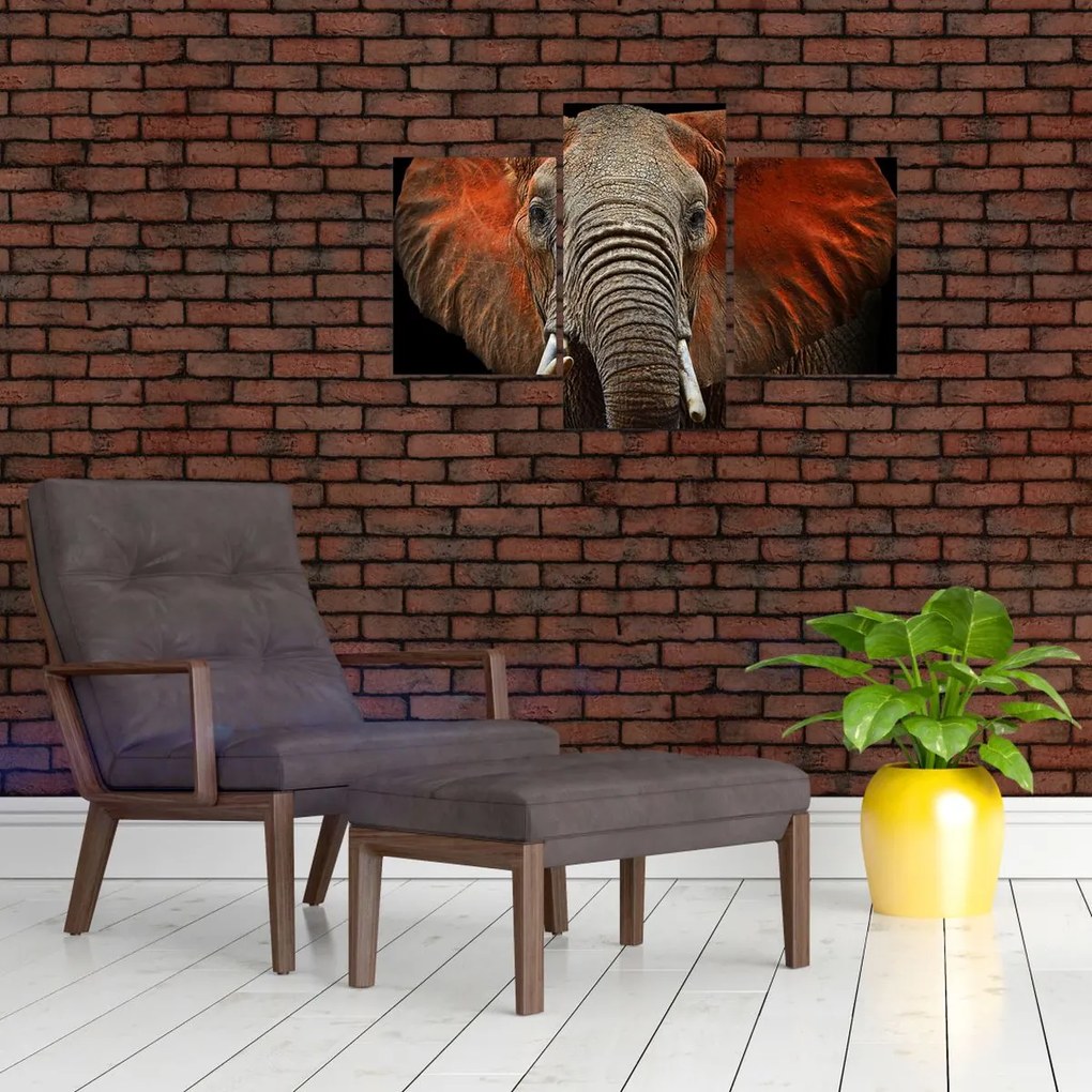 Tablou - Elefanți cu Tsavo (90x60 cm)