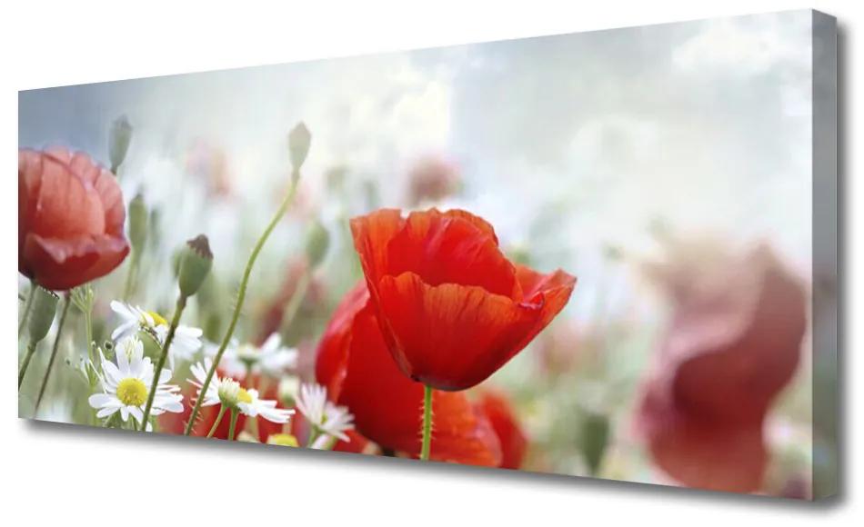 Tablou pe panza canvas Flori Floral Roșu Galben Alb