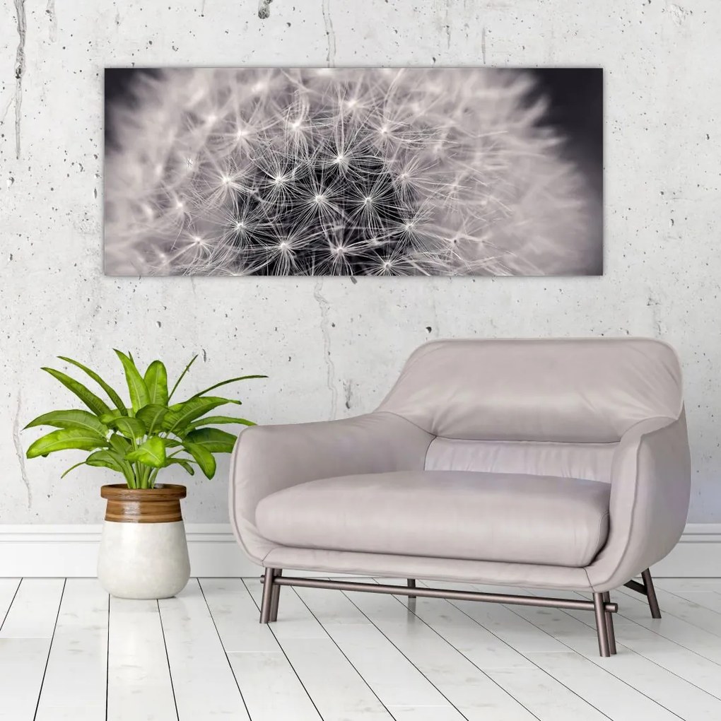 Tablou cu păpădie (120x50 cm)