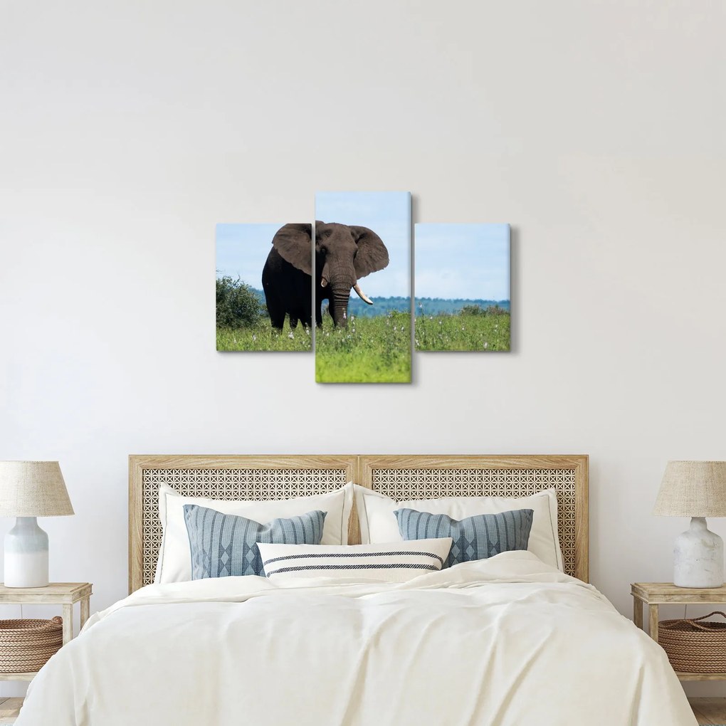 Tablou cu elefant (90x60 cm)