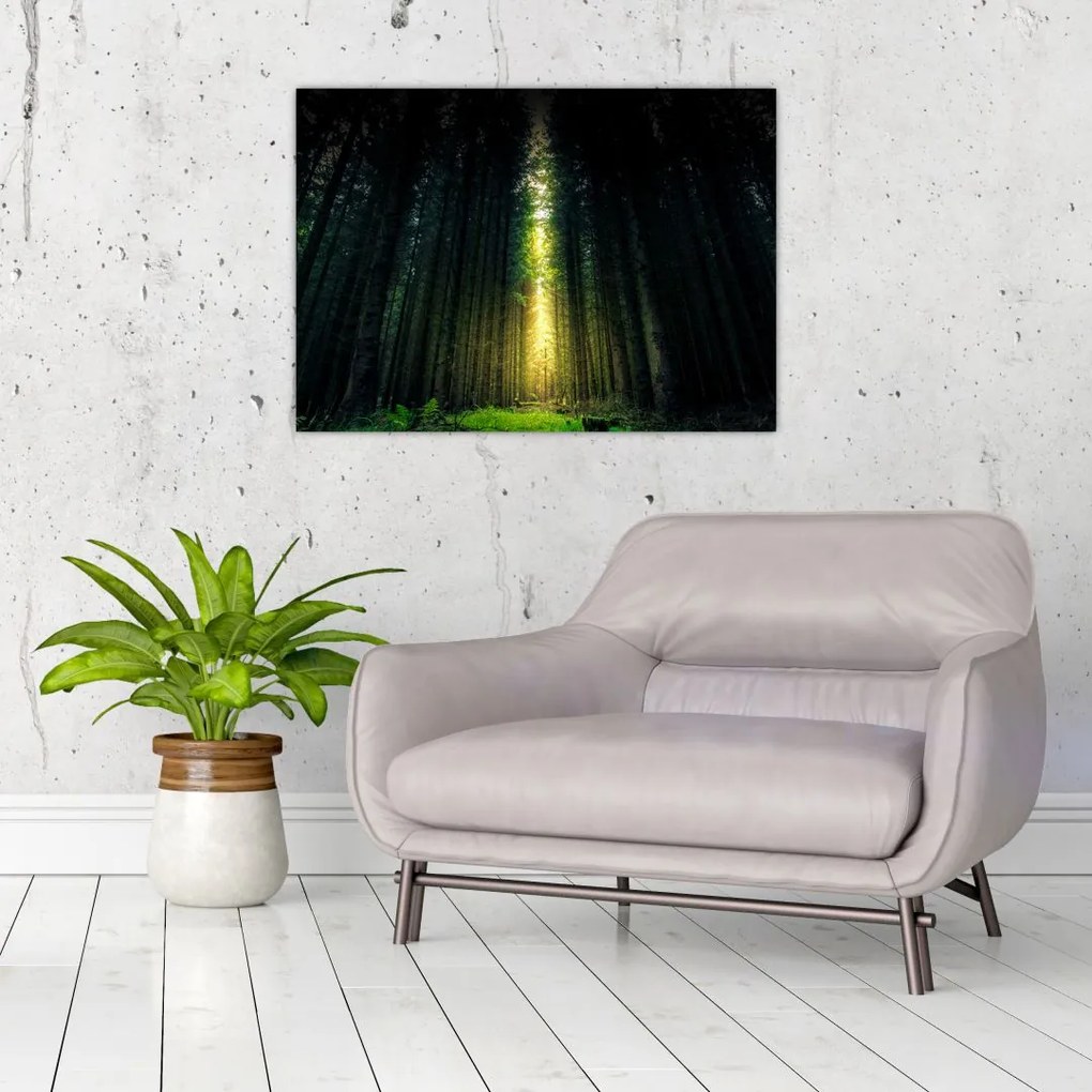 Tablou cu pădurea întunecată (70x50 cm)
