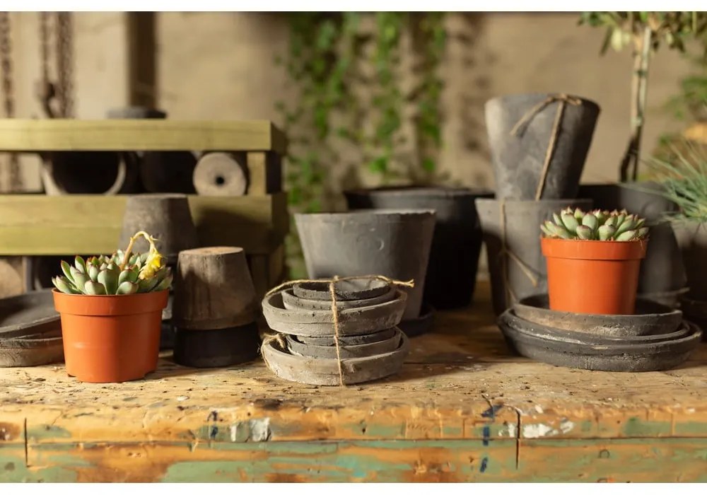 Farfurii de ghiveci 3 buc. din teracotă ø 10 cm – Esschert Design