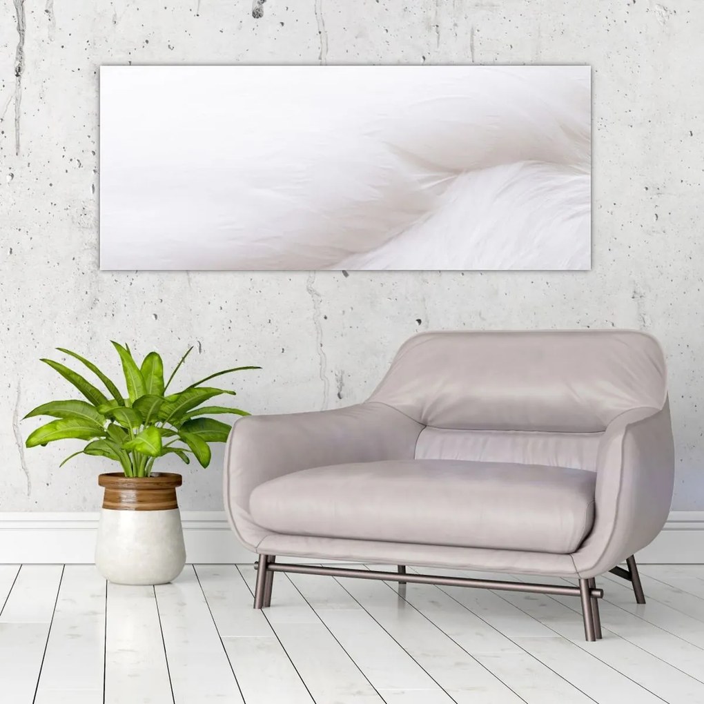 Tablou - Detalii pene (120x50 cm)