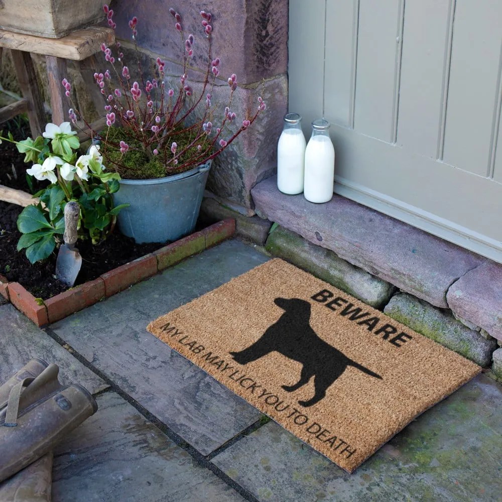 Covoraș de intrare din fibre de nucă de cocos 40x60 cm Labrador – Artsy Doormats