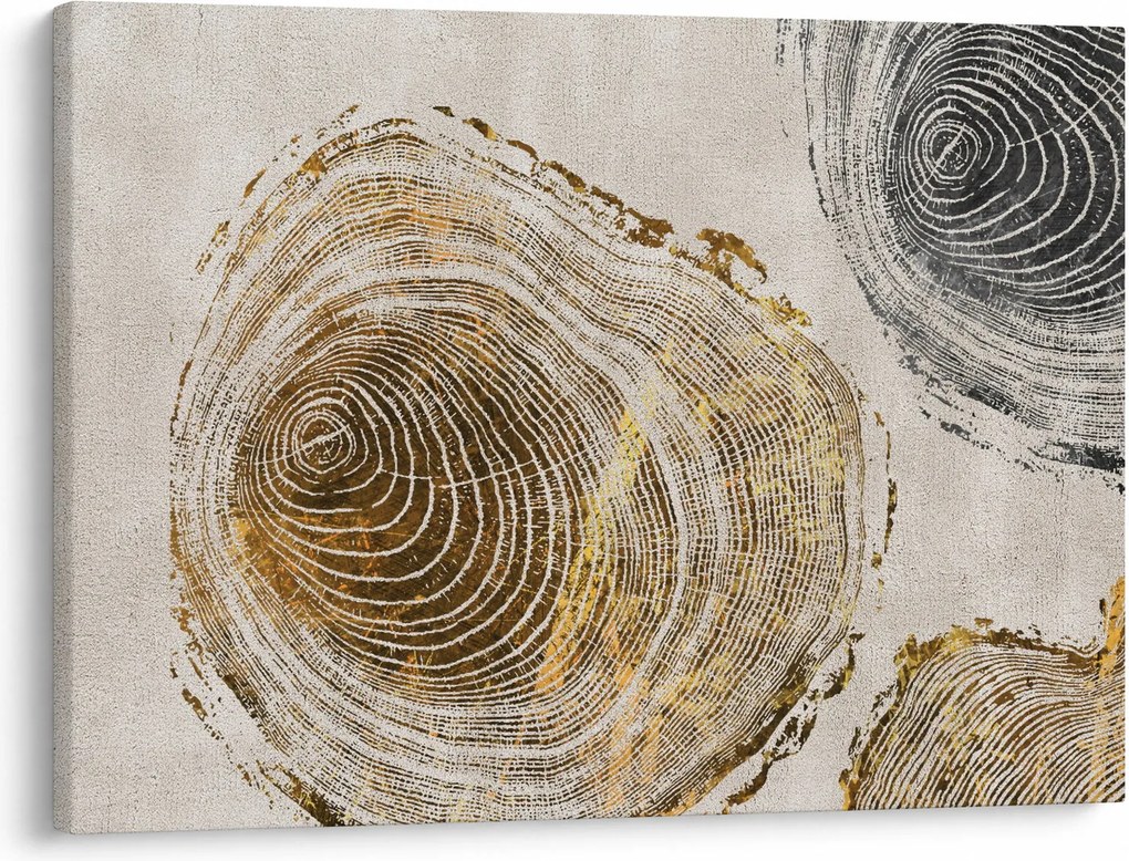 Tablou - Abstract triburi (70x50 cm)