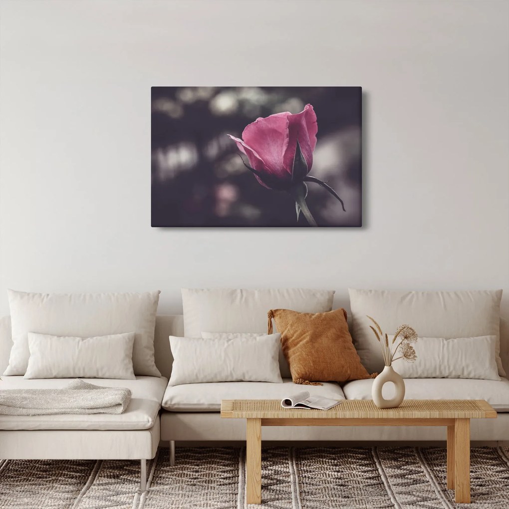 Tablou - Detaliu florii de trandafir (90x60 cm)