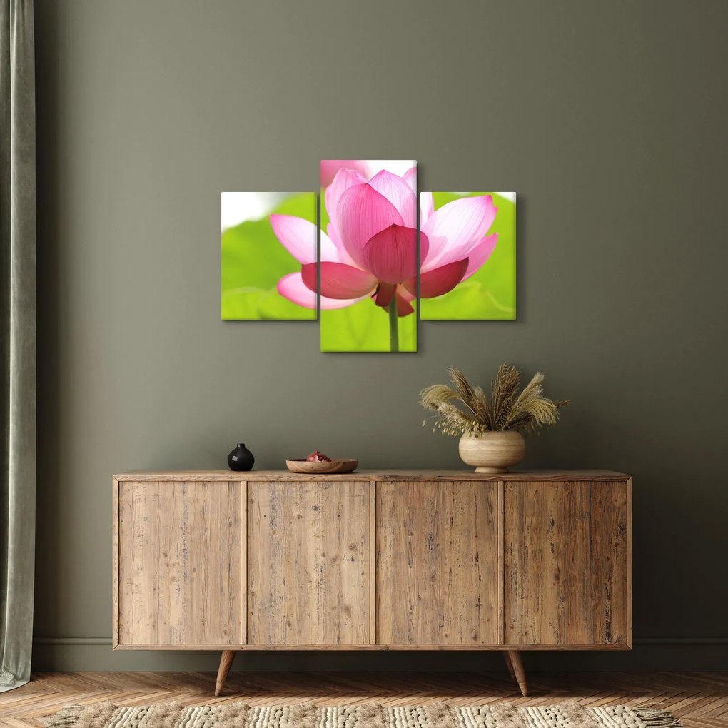 Tablou cu flori de lotus (90x60 cm)