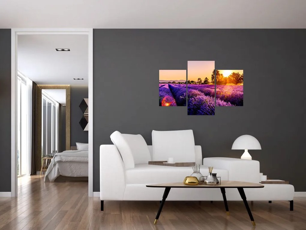 Tablou cu câmp de lavandă (90x60 cm)