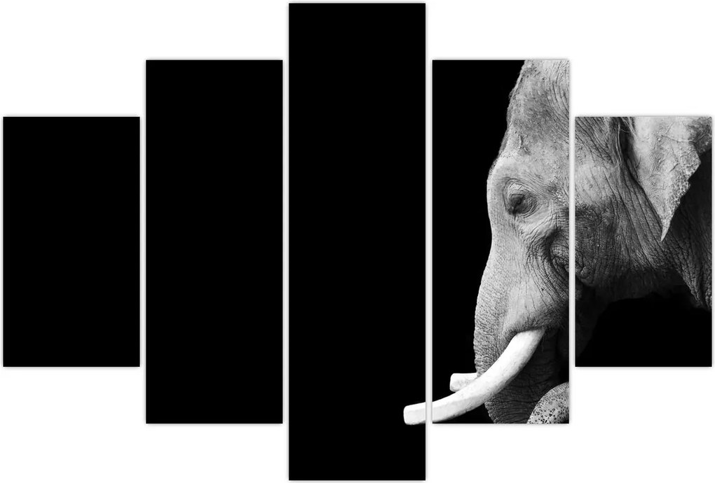 Tablou - Elefant (150x105 cm)