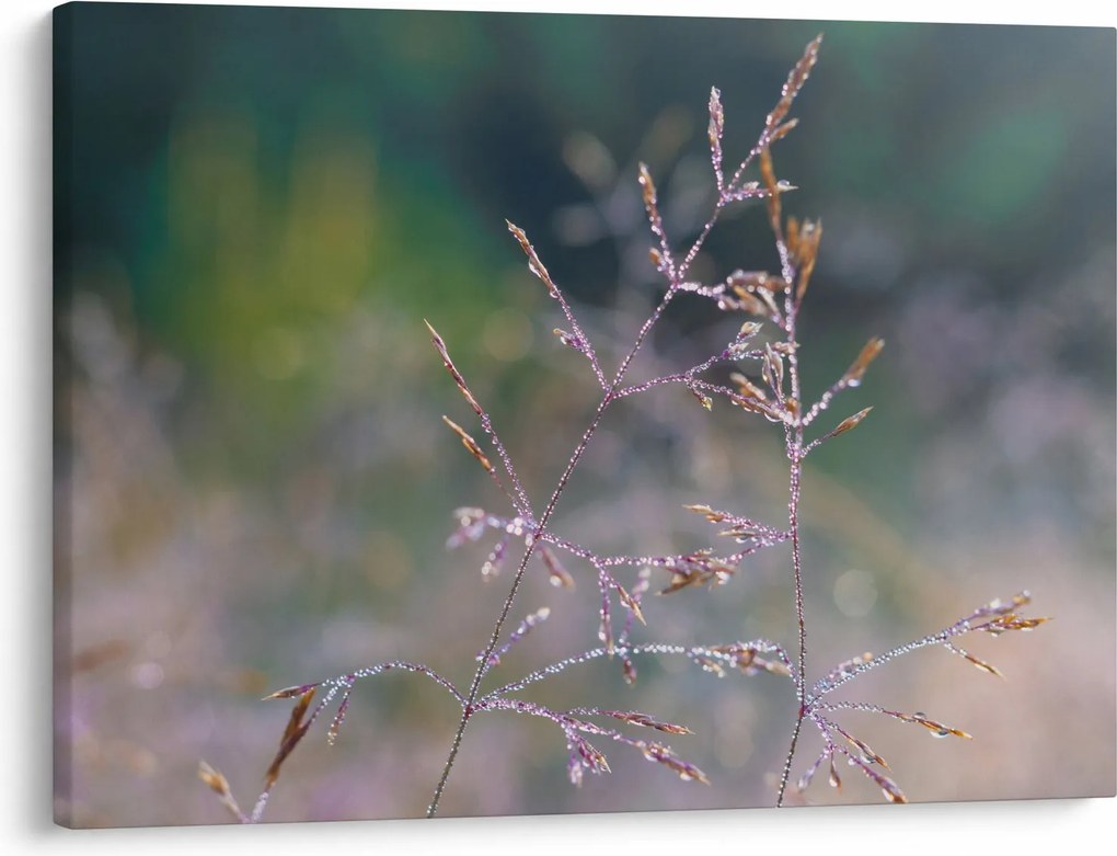 Tablou - Detaliu timp (70x50 cm)