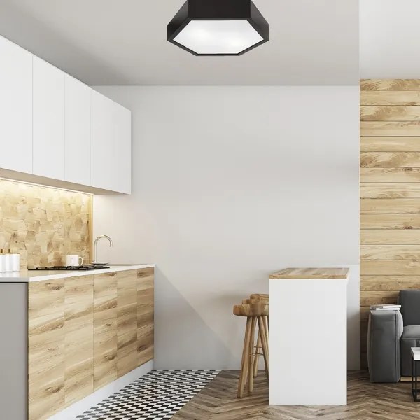 Plafonieră HEX 2xE27/60W/230V d. 43 cm negru pin