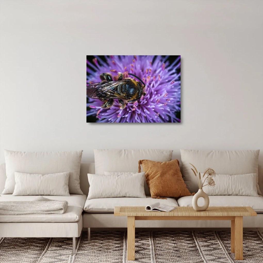 Tablou pe sticlă cu albina pe floare (70x50 cm)