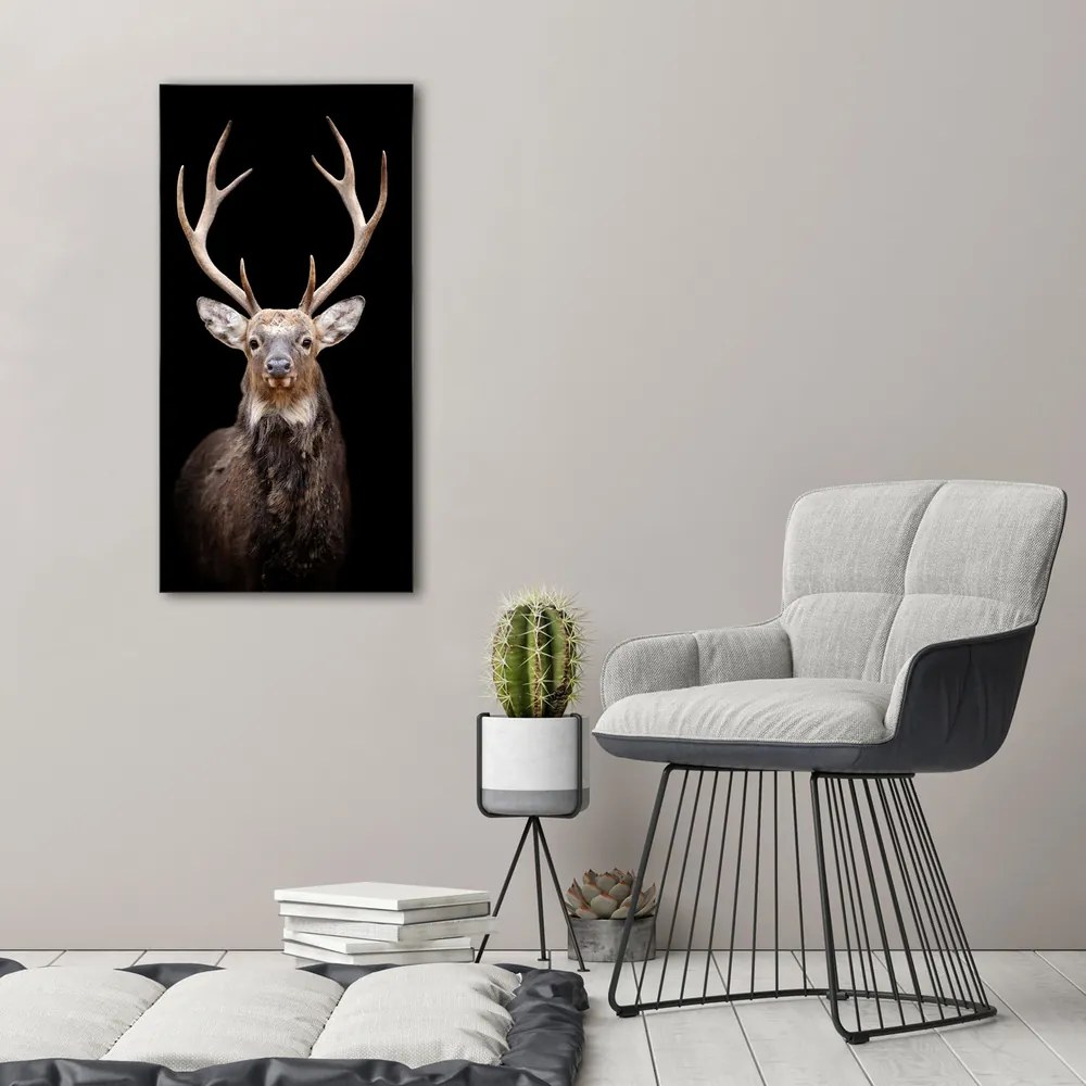 Imprimare tablou canvas Cerb