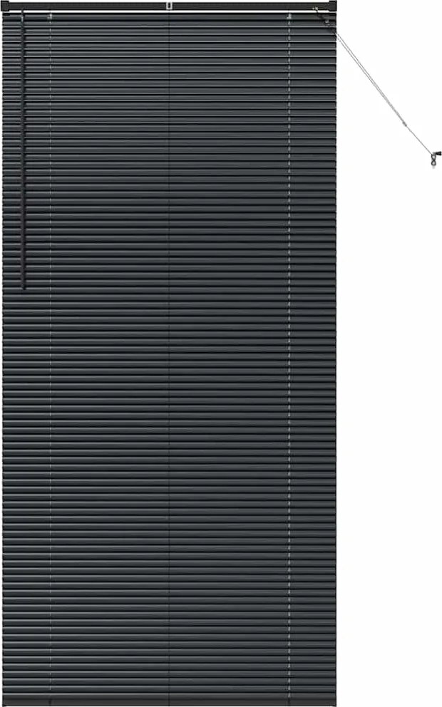 vidaXL Jaluzele venetiene Manual Negru 220 x 100 cm Aluminiu
